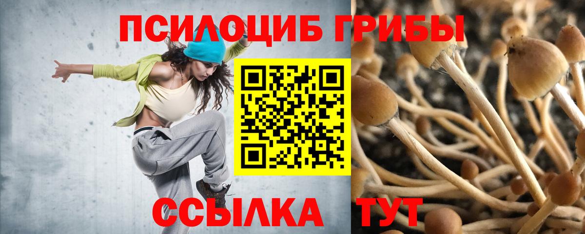 Галлюциногенные грибы ЛСД  Вход с VPN  Златоуст 